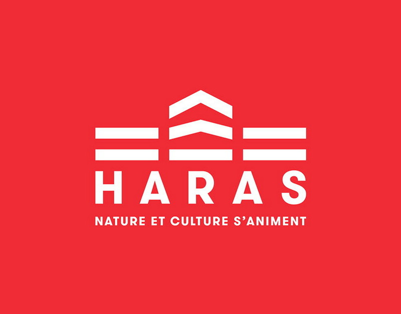 Обнародовано видео момента жесткого ДТП с автобусом у ЮЗГУ в Курске